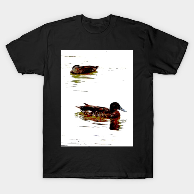 Two Ducks! T-Shirt by Mickangelhere1